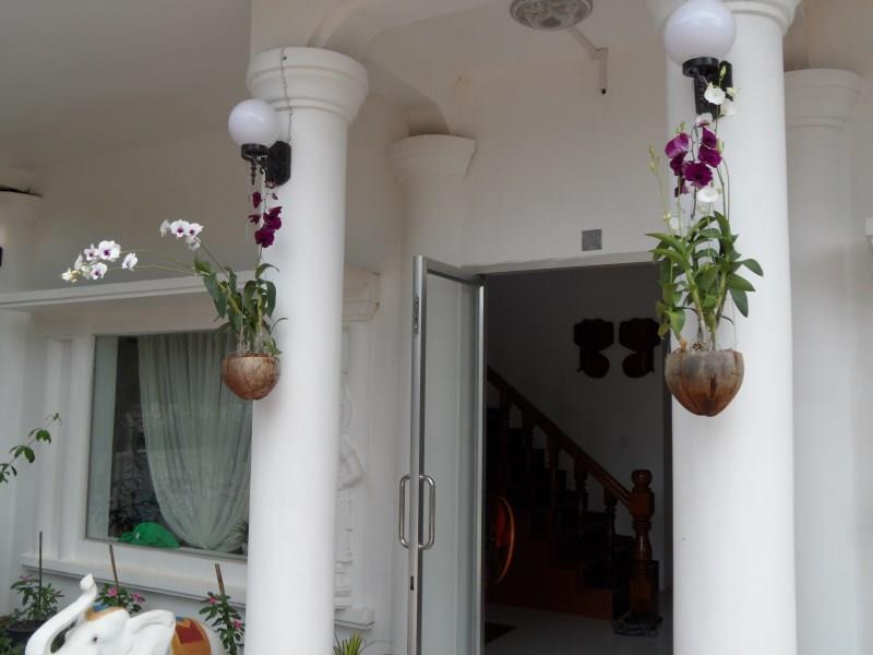Royal Sok Chhan Siem Reap Dış mekan fotoğraf